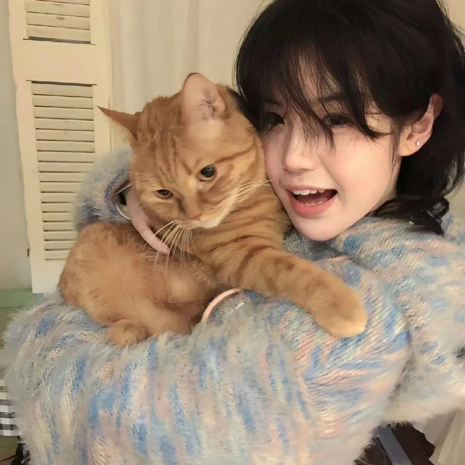 国民安保官之绝命护卫